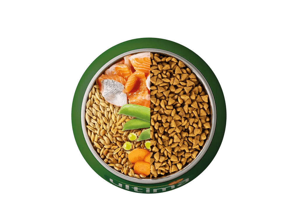 Saumon, orge, blé complet et légumes