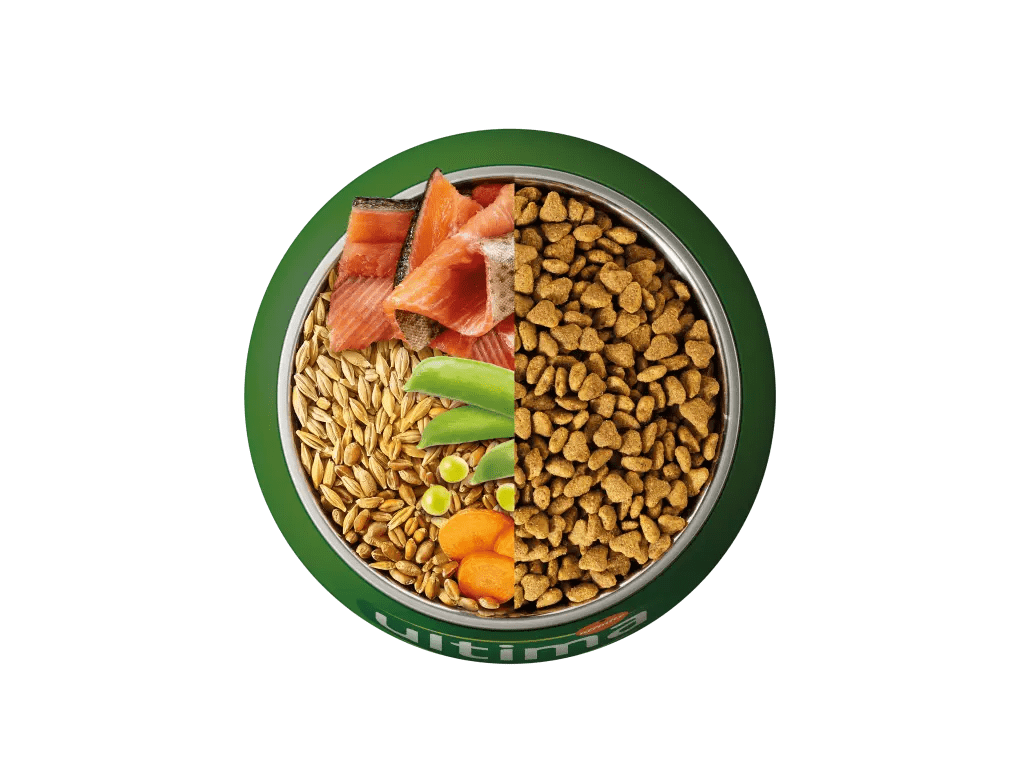 Trucha, arroz, cereales integrales y verduras