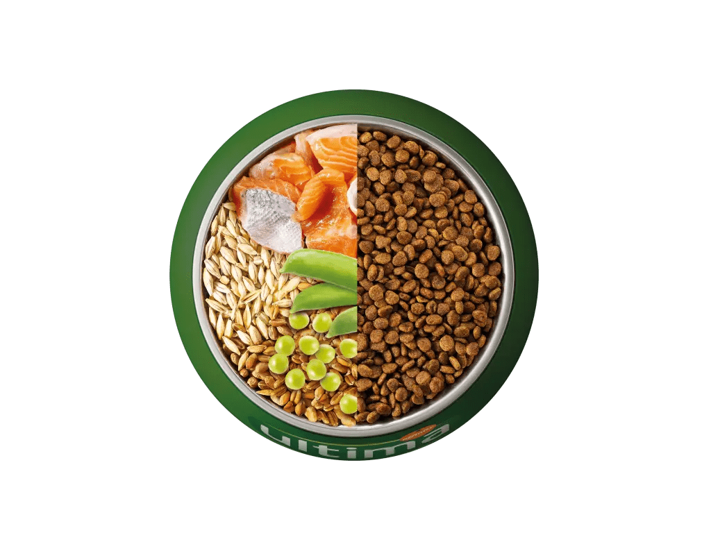 Salmon, barley, wholegrain cereals and peas