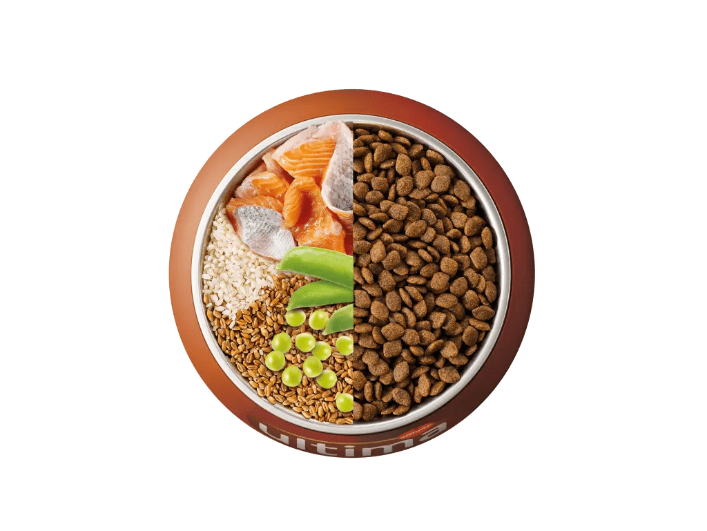 Salmón, arroz, cereales integrales y guisantes