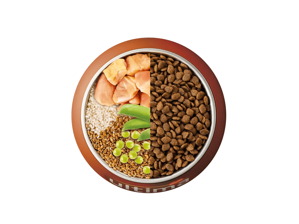 Frango, arroz, cereais integrais e ervilha