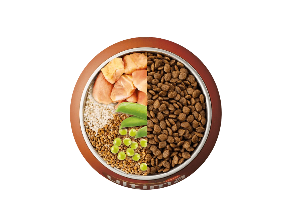 Chicken, rice, wholegrain cereals and peas