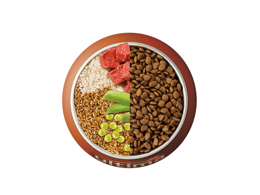 Bœuf, riz, céréales complètes et pois