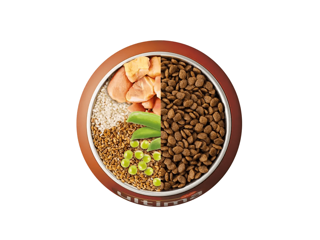 Chicken, rice, wholegrain cereals and peas