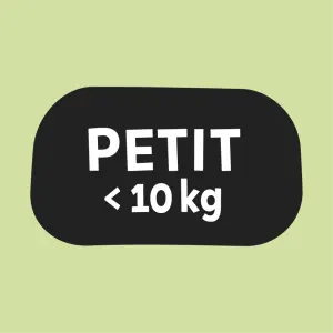For small dogs