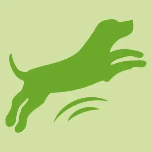 For a dog comfortable in his own paws