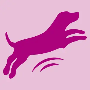 Pour un chien joyeux !