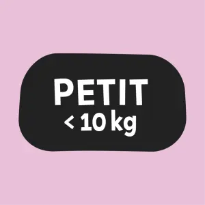 Pour Petits Chiens