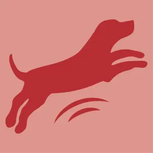 For a happy dog!
