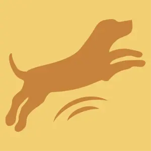 For a happy dog!