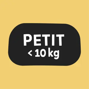 For small dogs