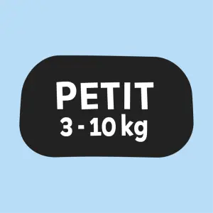 For small dogs
