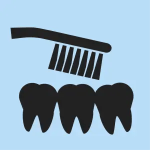 Contributes to healthy gums
