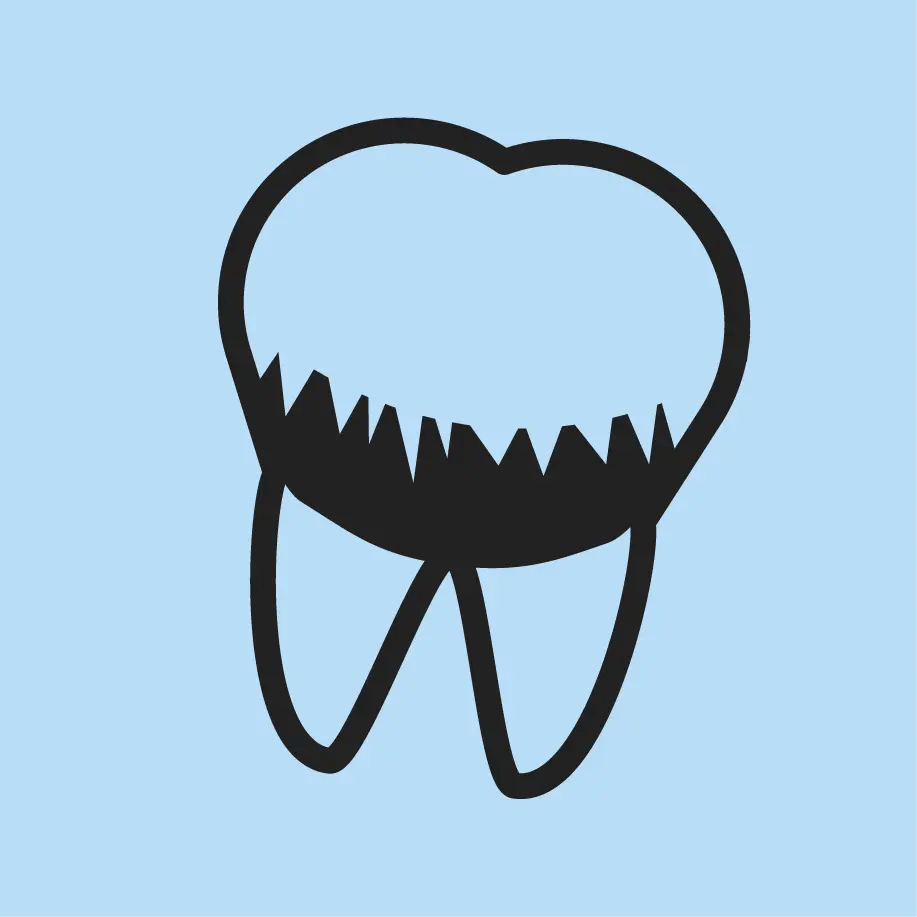 Complexe “Dentalshield“