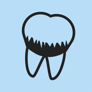 Reduces plaque accumulation