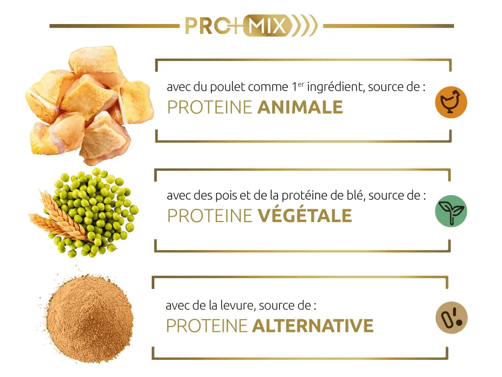 Notre association innovante de protéines de haute qualité, facile à digérer, qui apporte des acides aminés essentiels pour contribuer au maintien de sa masse musculaire.