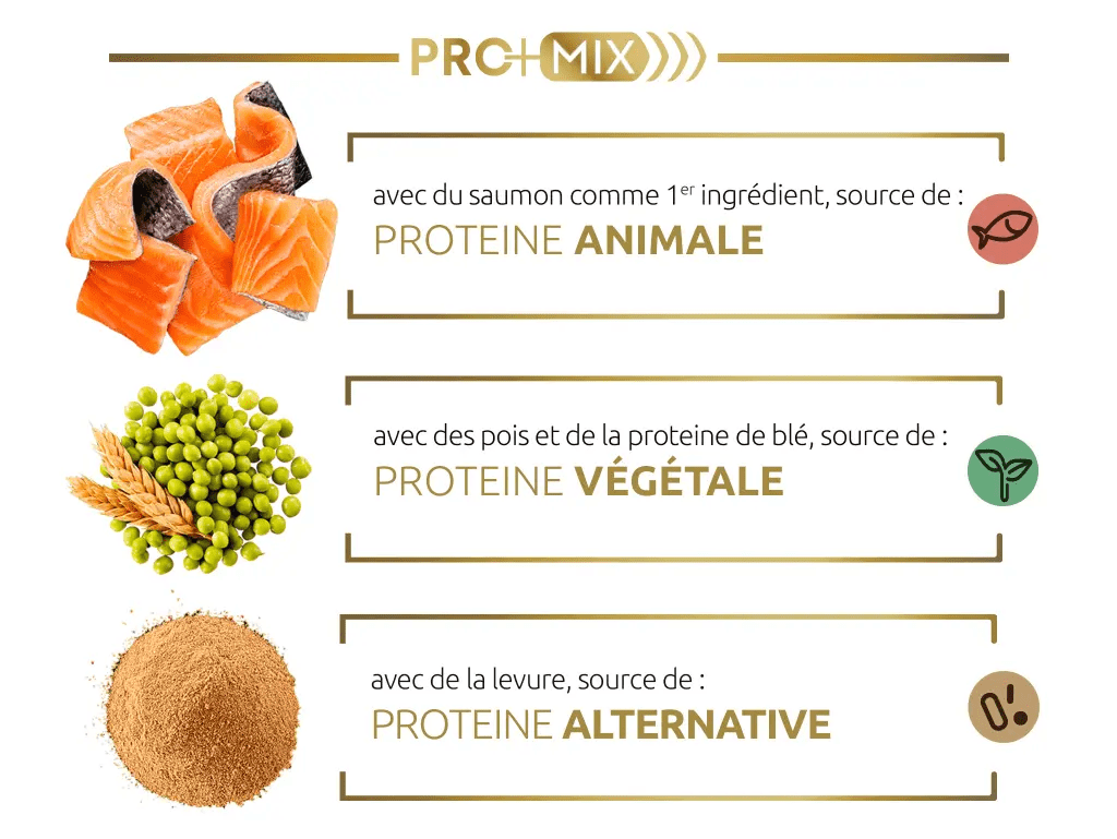 Notre association innovante de protéines de haute qualité, facile à digérer, qui apporte des acides aminés essentiels pour contribuer au maintien de sa masse musculaire.