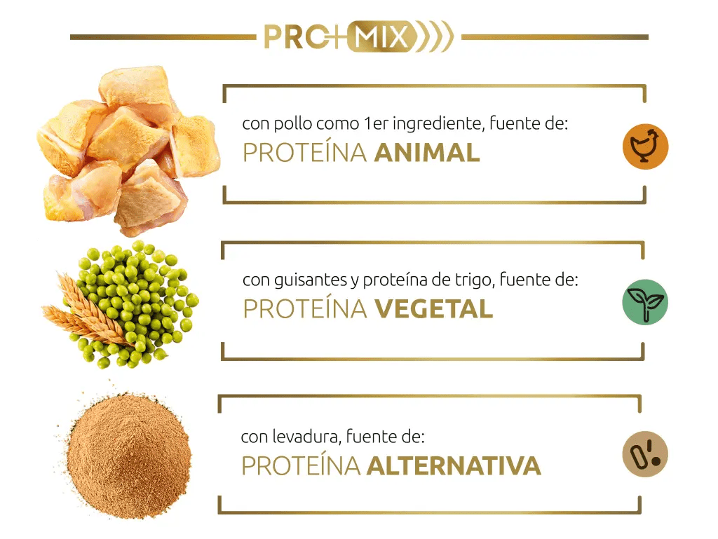 Nuestra innovadora combinación de proteínas de alta calidad, fácil de digerir y que aporta aminoácidos esenciales para contribuir a su metabolismo muscular.