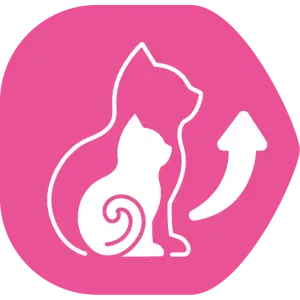 Contribueix al correcte creixement del gatet