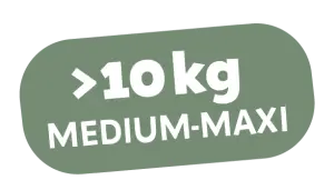 MEDIUM-MAXI > 10 kg