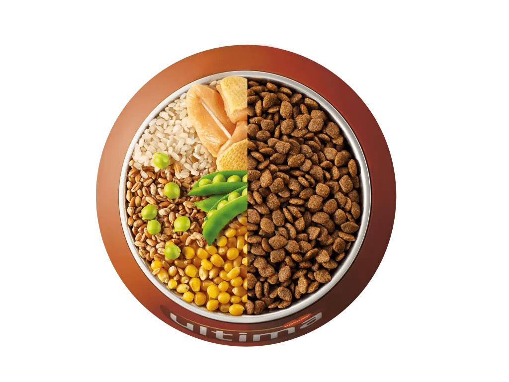 Pollastre, arròs, cereals integrals i pèsols