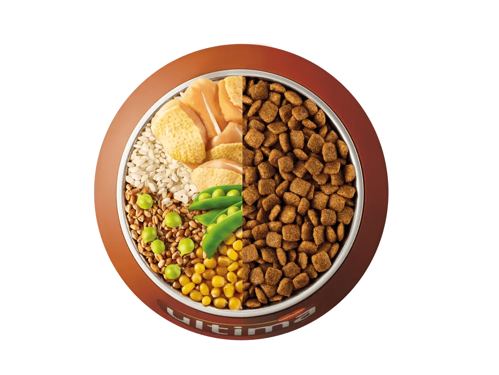Chicken, rice, wholegrain cereals and peas