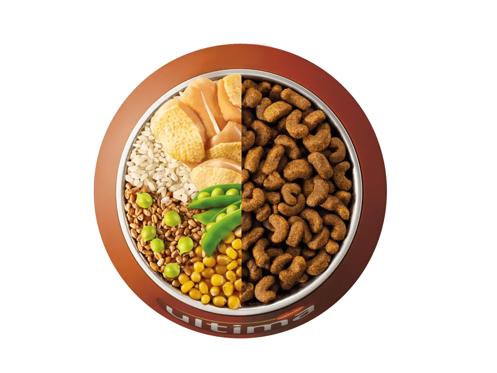 Chicken, rice, wholegrain cereals and peas