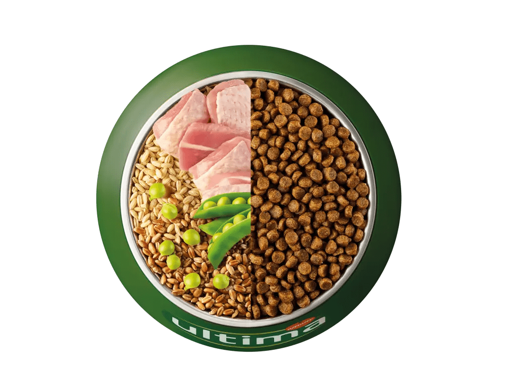 Gall dindi, ordi, blat integral i pèsols