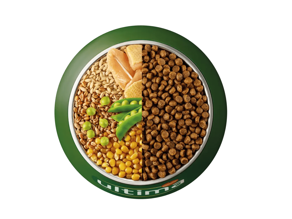 Chicken, barley, whole grains and peas