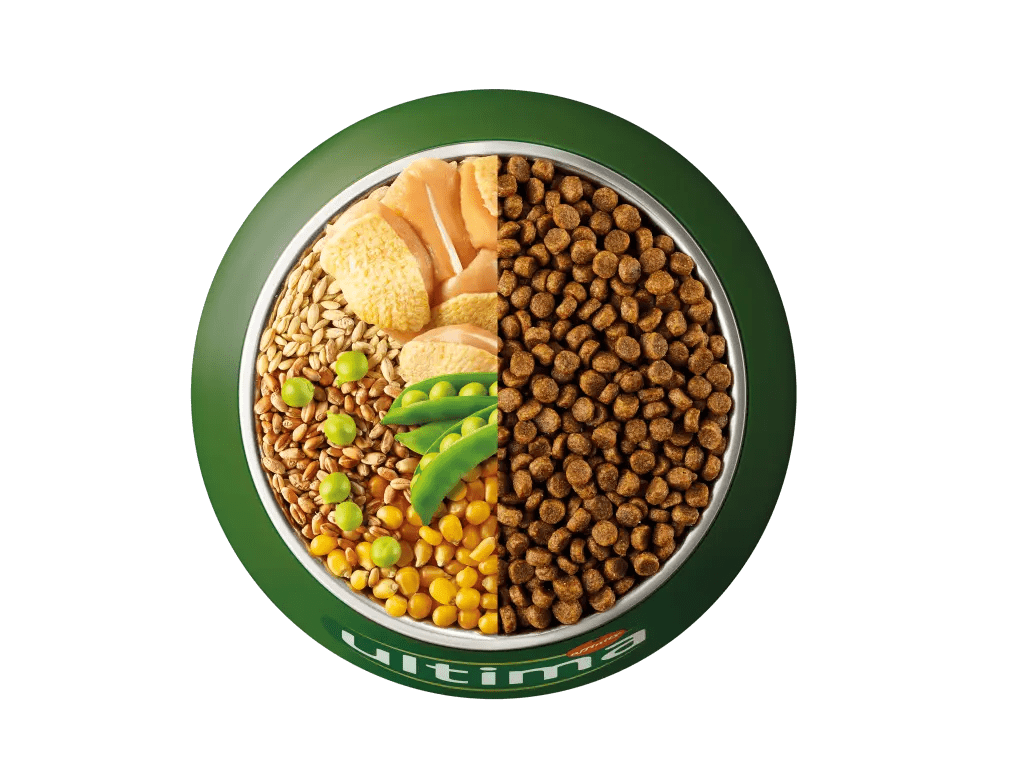 Pollastre, ordi, cereals integrals i pèsols