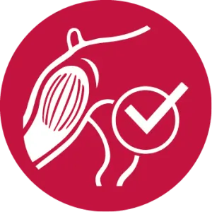 Aide à maintenir la masse musculaire