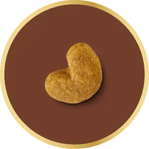 Adapted kibble