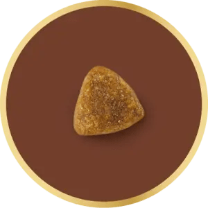 Adapted kibble