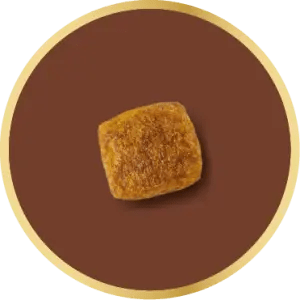 Small kibble size