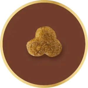 Adapted kibble
