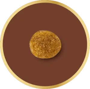 Croqueta adaptada