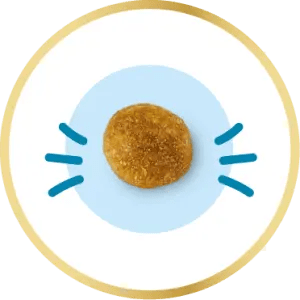 Croqueta adaptada