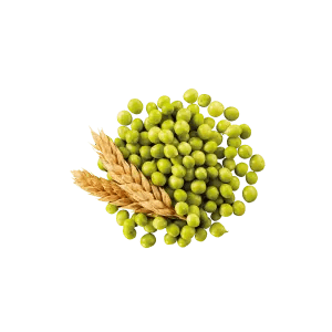 Proteïna vegetal
